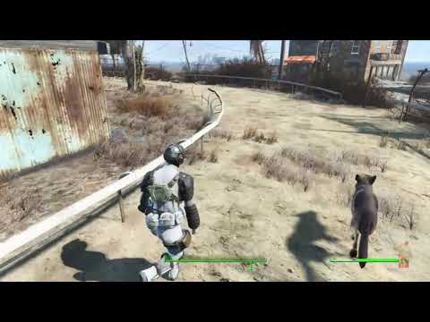 Fallout 4 - East City Downs - Belle and Dogmeat go Bot Racing #fallout4