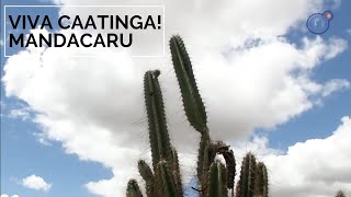 Miniatura do vídeo