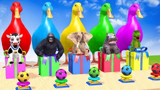 Long Slide Game with Cow Elephant Gorilla Hippopotamus Tiger 3d Animal Game Funny 3d Animals
