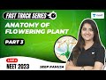Anatomy Of Flowering Plant Part 3 Fast Track Revision NEET 2023 Seep Pahuja