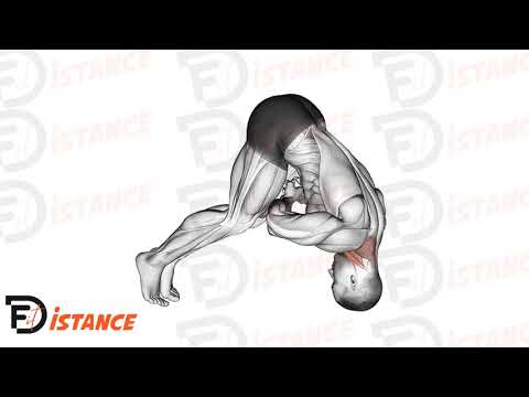 Exercice Pont cervical ventral