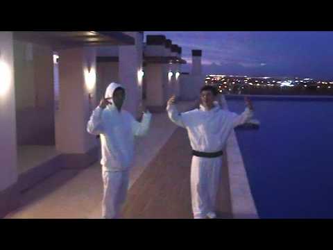 COVIN & DANY - ZROZUM (Visualiser)