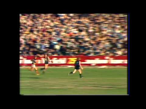 Best VFL Team Goal Ever 1982 Round 10
