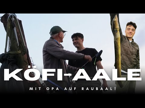 SO fängst du AALE auf KÖDERFISCH! - Aalangeln mit Köderfisch