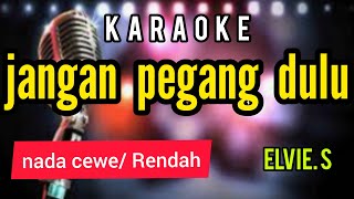Download lagu Karaoke JANGAN PEGANG DULU elvie.s nada CEWE mp3