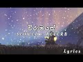 BHASHI - Viramayak (Garden Acoustic Version) [SLOWED + REVERB] Lyrics