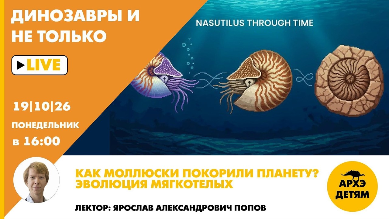 Занятие «Как моллюски покорили планету? Эволюция мягкотелых» с Ярославом По