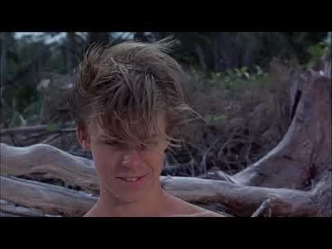 Flipper's New Adventure | 1964 | FirstSecondEveryMinute