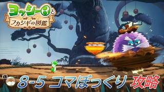 【ヨッシーとフカシギの図鑑】8-5 コマぼっくりの生息地 調査、フラワーコンプリート【攻略/switch2】