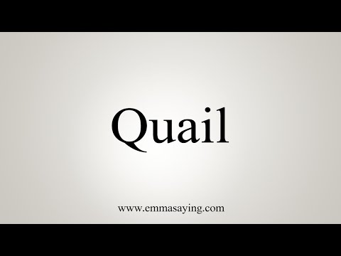 Part of a video titled How To Say Quail - YouTube