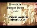 Pascha nostrum immolatus est 