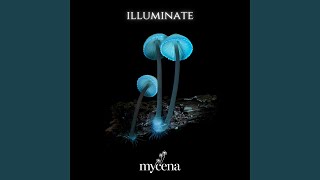 Mycena Media - First Light