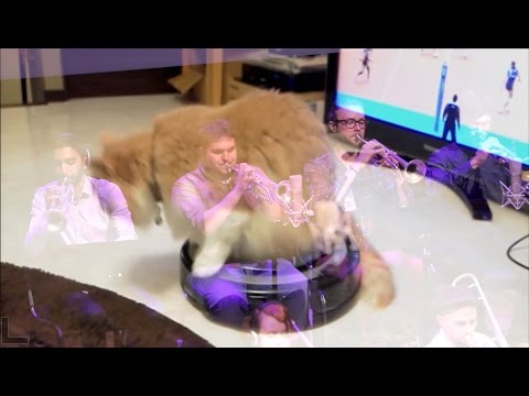 cats on roombas + jazz metal [exigence mvmt 3 live @ roulette by MxE]