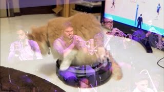 cats on roombas + jazz metal [exigence mvmt 3 live @ roulette by MxE]
