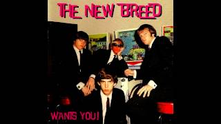 The New Breed - Oh, Pretty Woman (Roy Orbison Cover)