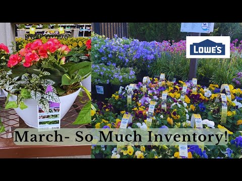 Blooms Galore: Tour of Lowe's Garden Center Inventory!