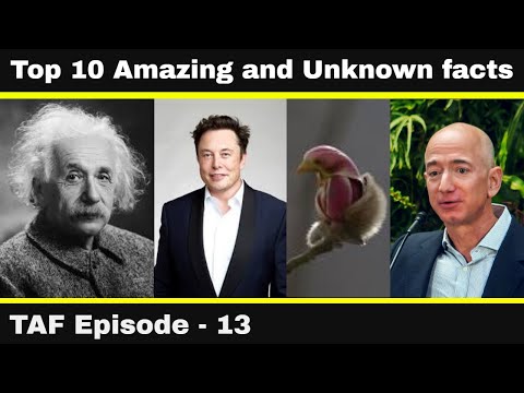 Which is The longest living dog ? II TAF Episode 13 II Saketh Ram