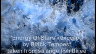 Energy Of Stars, by Black Tempest - from strange fish three on Fruits de Mer Records
