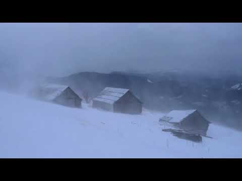 Fuerte tormenta de nieve * Tormenta de invierno en las montañas de Ucrania * Viento aullador