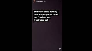 Malu Trevejo cries on dog being stolen