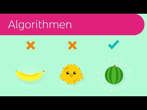 Algorithmen in 3 Minuten erklärt