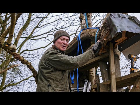 How I Design Nest Boxes Birds Actually Use | Wildlife Conservation | Robert E Fuller