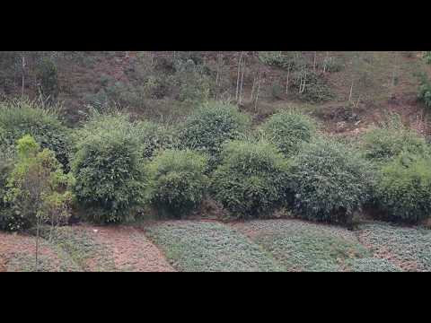 vp-tech01