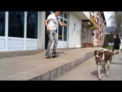 Skate Park To Skate Shop