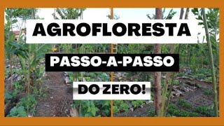 Como fazer uma agrofloresta - passo a passo da implantação - PARTE 1