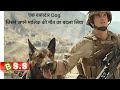 A Story Of DOG Max Movie Review/Plot In Hindi & Urdu