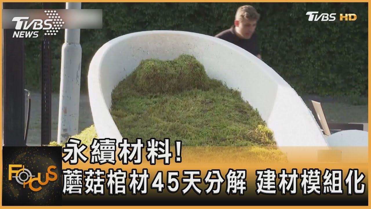 永續材料!蘑菇棺材45天分解 建材模組化