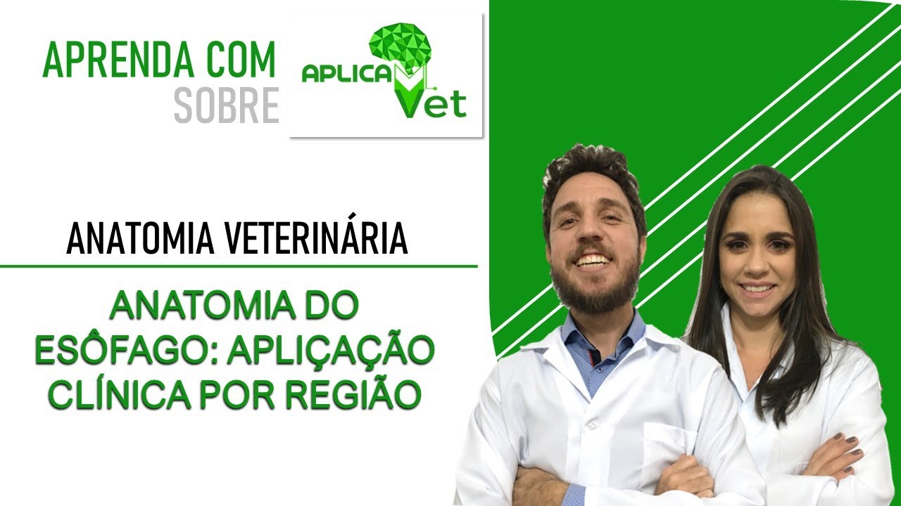 Anatomia Veterinária - Anatomia do esôfago - Aplicações clínicas por região