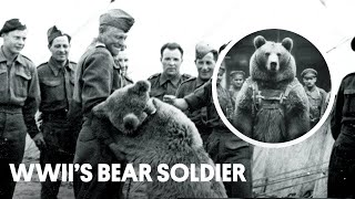 WWII’s Secret Weapon: A Bear Named Wojtek