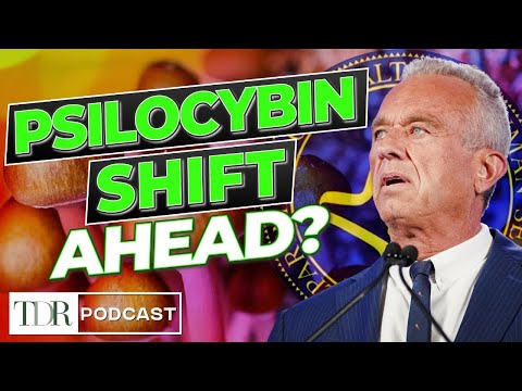 DEA Advances Psilocybin Rescheduling to HHS | TDR ...