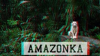 SLIM L x J-Pit - AMAZONKA (prod. by JULCO)