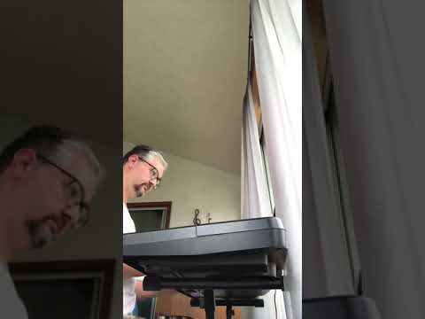 Le Doux Silence des Nos Bois