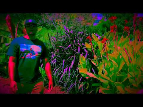 “Pity Party” N-A FortNight (Party)