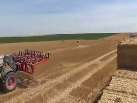 Pince balles bugnot carolev 4804