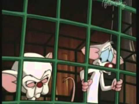 Pinky & Brain - Funny Clips 3