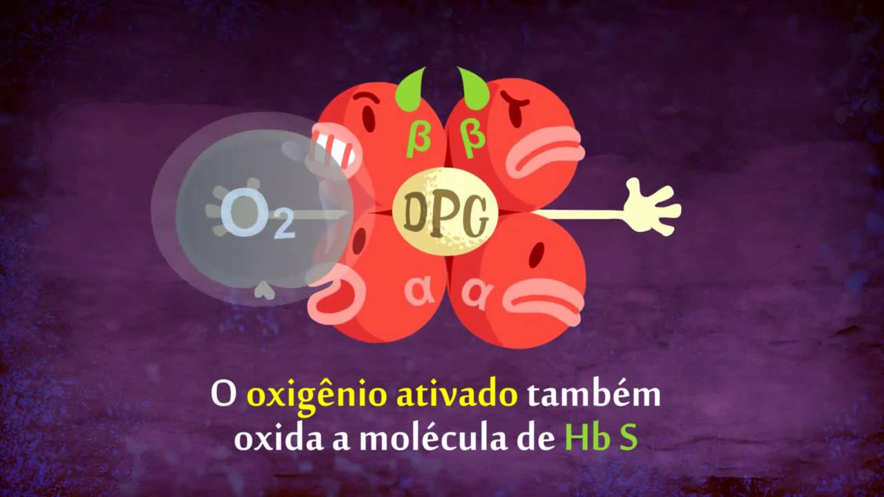 Cibele Cristina Castilho-12