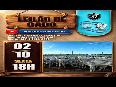 LEILÃO ALBERTO e MARTINS 02/10/2026 AS 18:00 hs em Cachoeira Alta Go.
