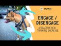 Engage Disengage The Best Reactive Dog Training Exercise