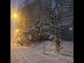 Winter White 2024 Germany