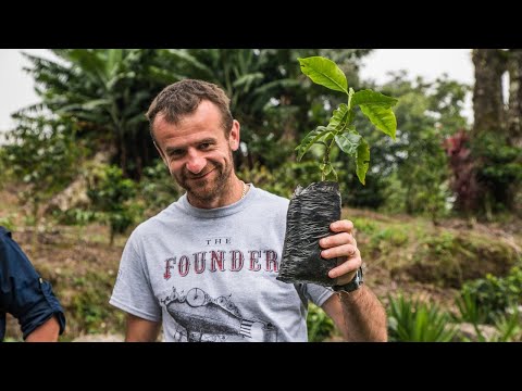 THE BARN - Sasa Sestic in Berlin