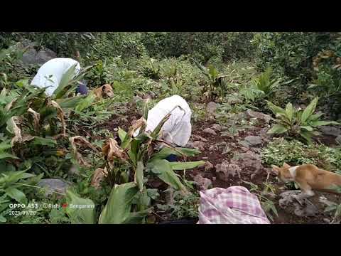 Pijing at kinabur 😀😀😀