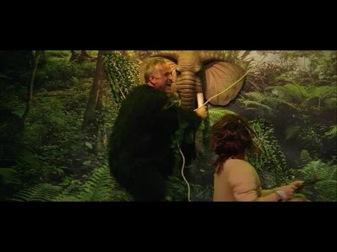 De schuine jungle - ALLES MAG OP ZONDAG