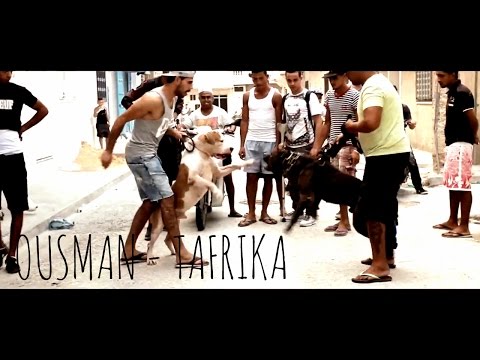 Ousman - Tafrika [Official Video]
