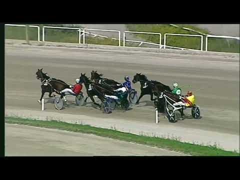 Napoli Trotto 21/10/2022 - 2ª corsa