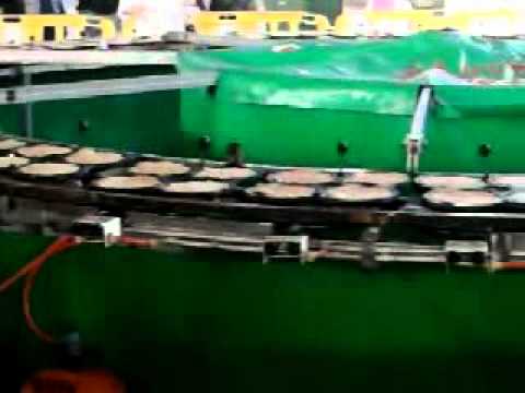 Filloeira en Santa Comba.