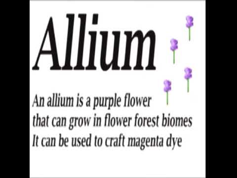 Peony | Rose Bush | Minecraft | Flowers | #minecraft | Alliums | Azure Bluets | Lilies of the Valley